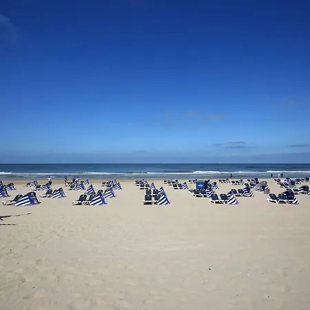 Happyview * Zandvoort